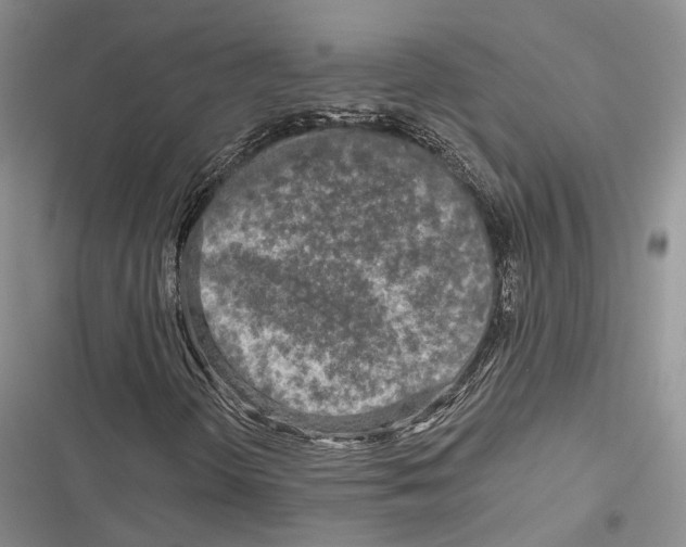 X0000116801298201001151114