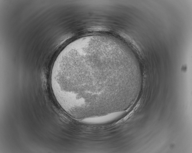 X0000116801305201001151114