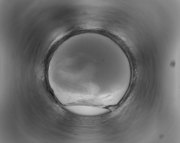 X0000116801306201001151114