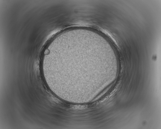 X0000116801307201001151114