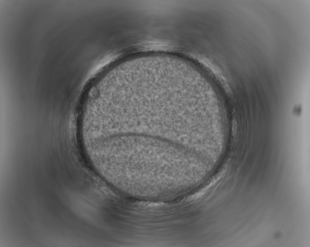 X0000116801309201001151114