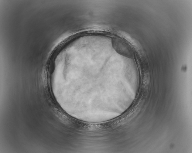 X0000116801310201001151114