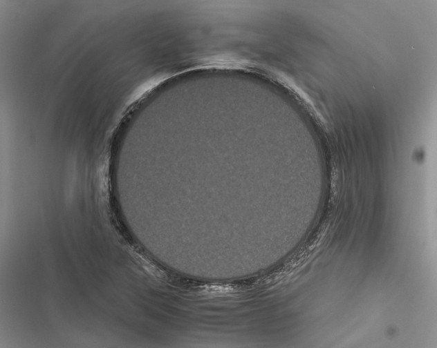 X0000116801315201001151114