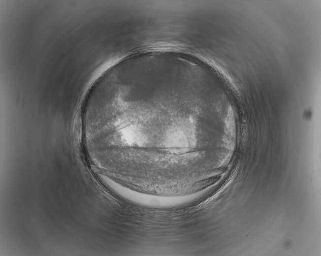 X0000116801317201001151114