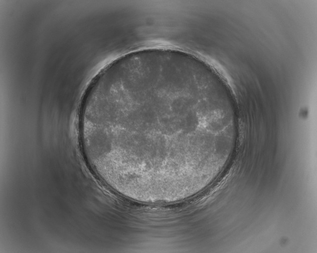 X0000116801318201001151114