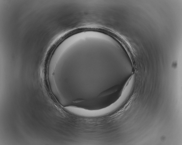 X0000116801319201001151114