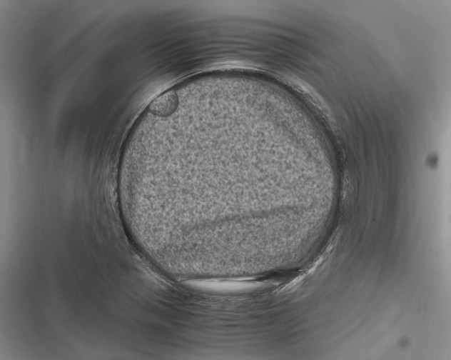 X0000116801321201001151114