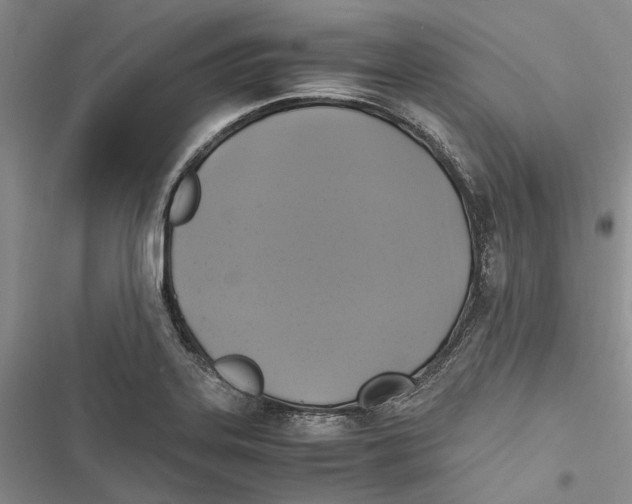 X0000116801323201001151114