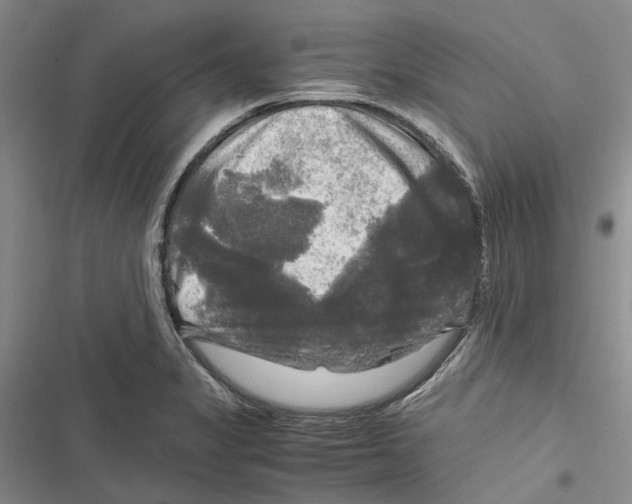 X0000116801325201001151114