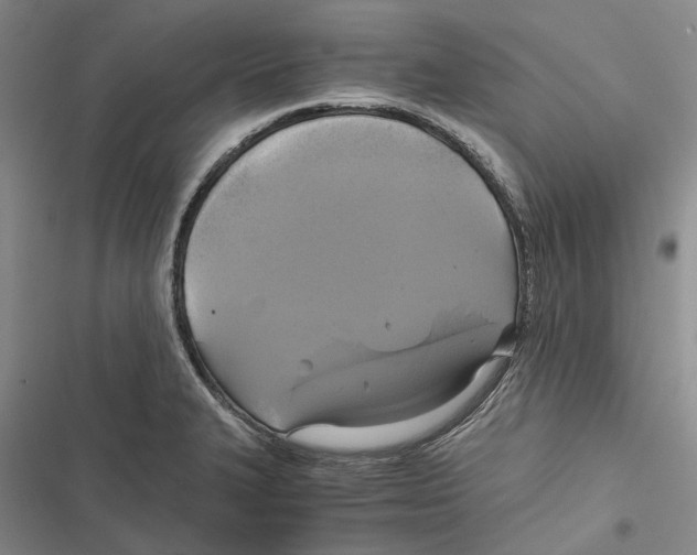 X0000116801327201001151114