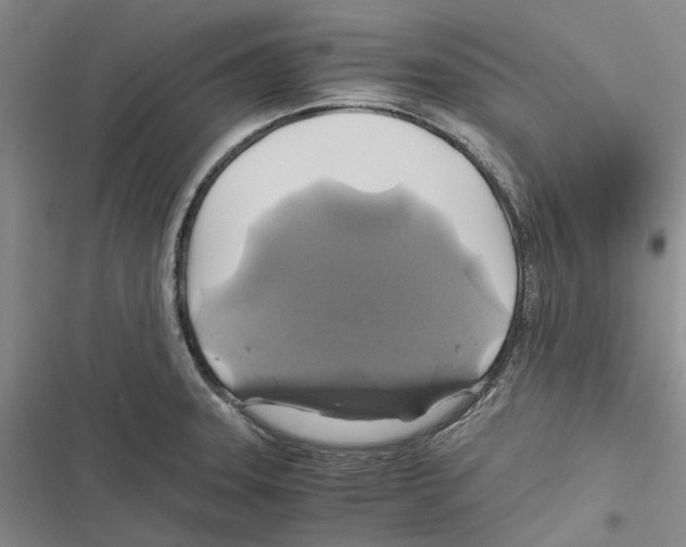 X0000116801331201001151114
