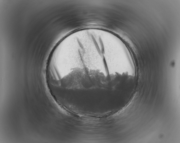 X0000116801333201001151114