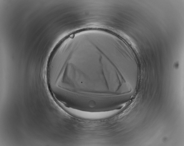X0000116801334201001151114