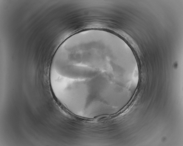 X0000116801337201001151114