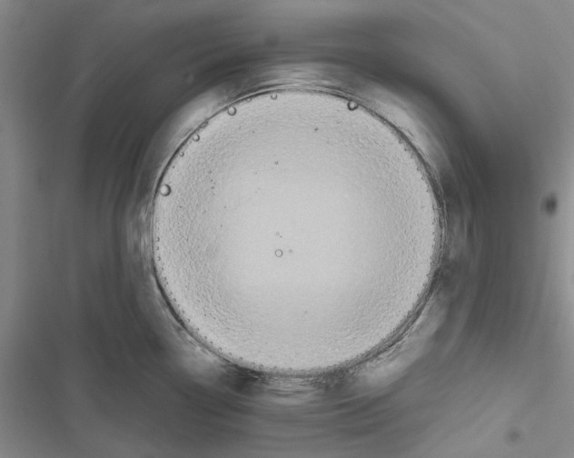 X0000116801338201001151114
