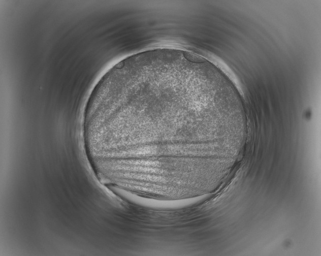 X0000116801339201001151114