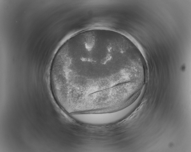 X0000116801341201001151114