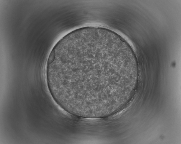 X0000116801343201001151114