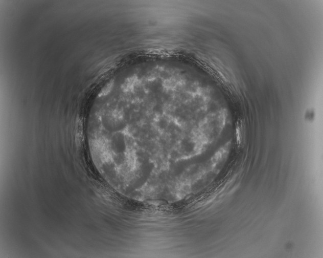 X0000116801347201001151114