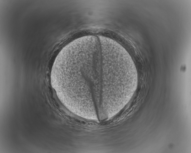 X0000116801349201001151114
