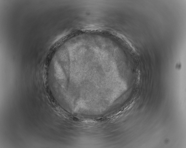 X0000116801350201001151114
