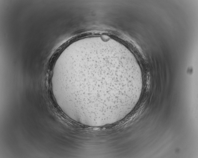 X0000116801352201001151114