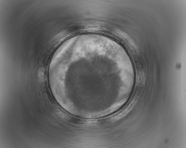 X0000116801353201001151114