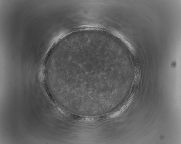 X0000116801357201001151114