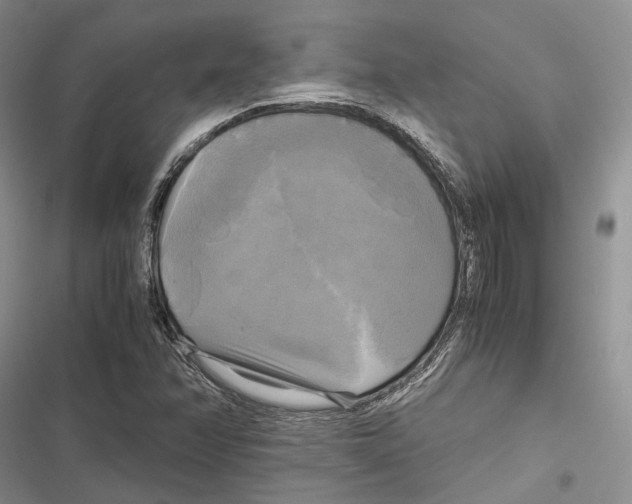 X0000116801358201001151114