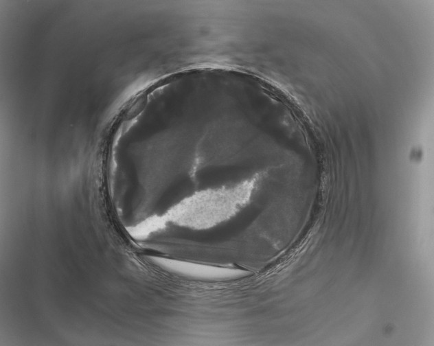 X0000116801359201001151114