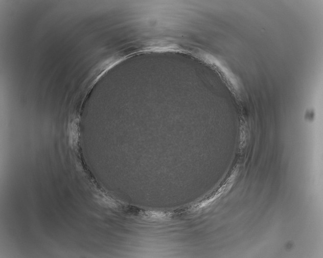 X0000116801361201001151114