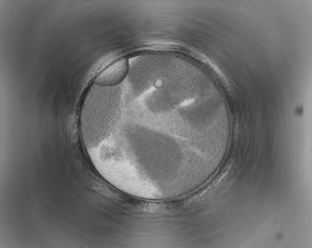 X0000116801362201001151114