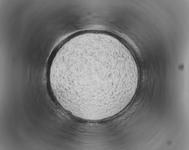 X0000116801364201001151114