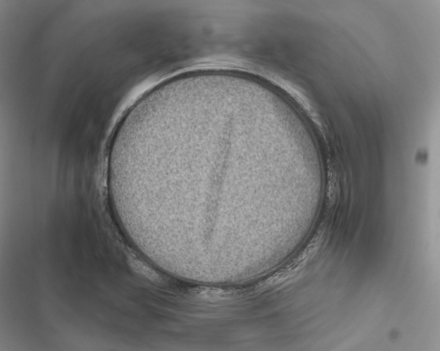X0000116801366201001151114