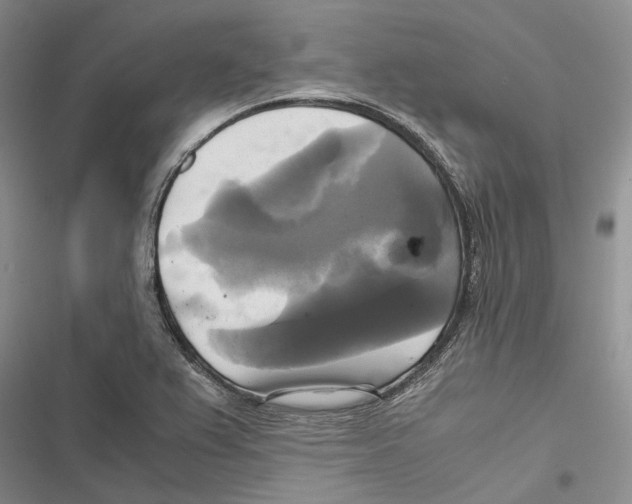 X0000116801367201001151114