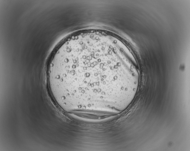 X0000116801368201001151114