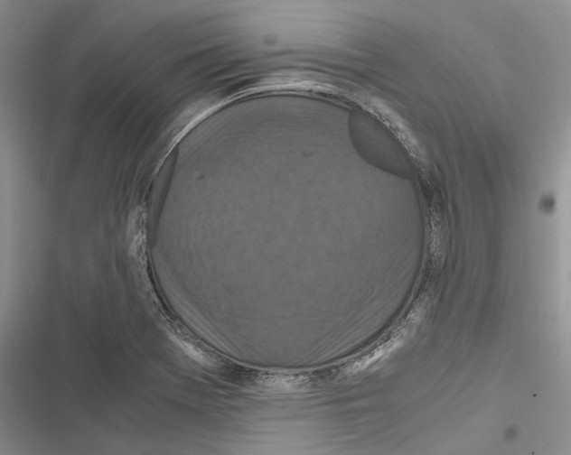 X0000116801369201001151113