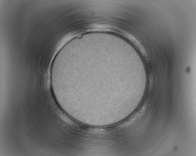 X0000116801370201001151113