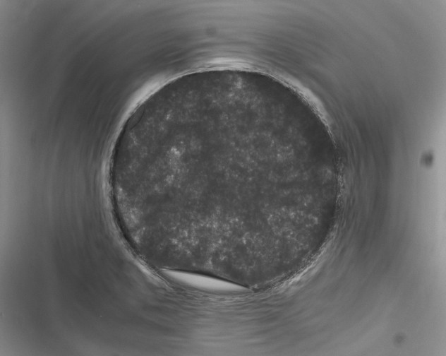 X0000116801373201001151113