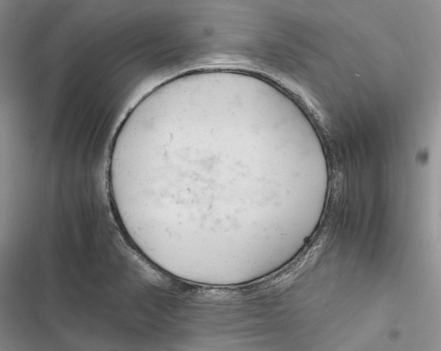 X0000116801374201001151113