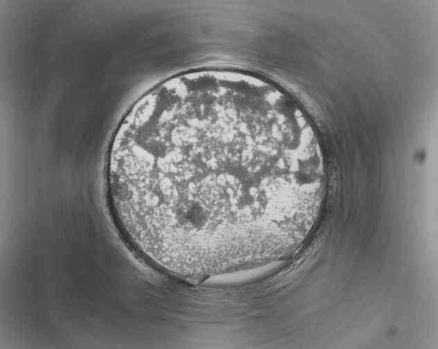 X0000116801375201001151113