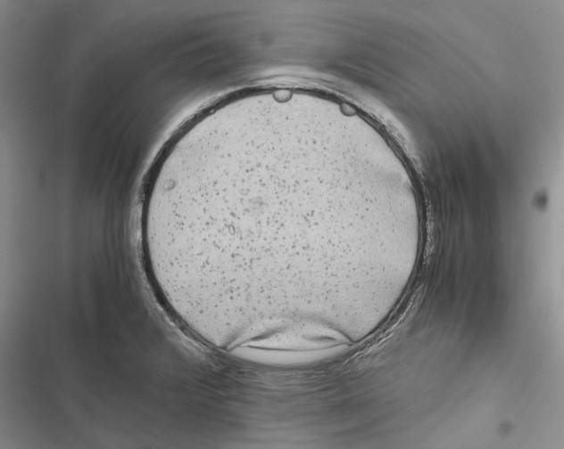X0000116801376201001151113