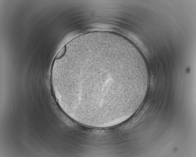 X0000116801378201001151113