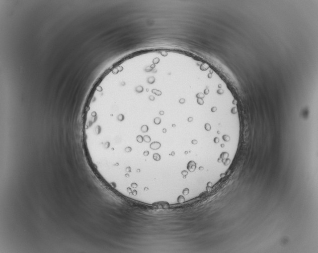 X0000116801380201001151113