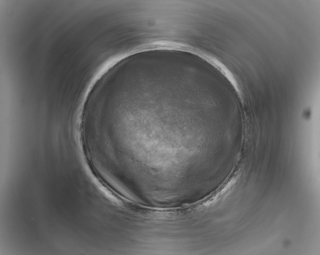X0000116801381201001151113