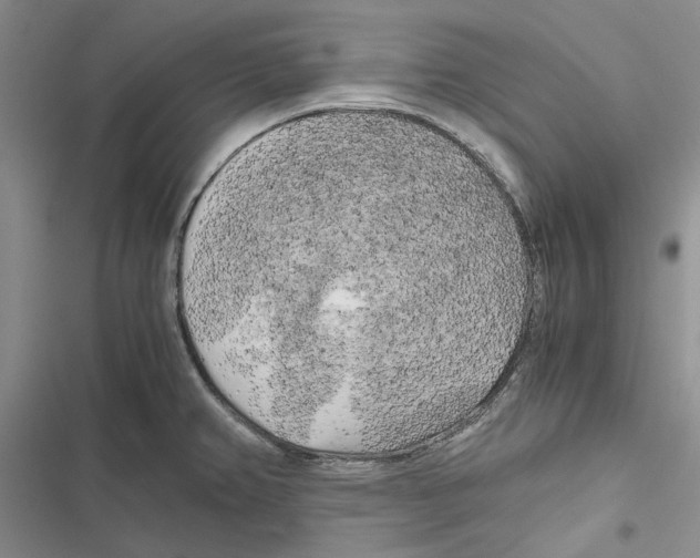 X0000116801382201001151113