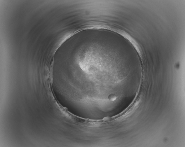 X0000116801385201001151113