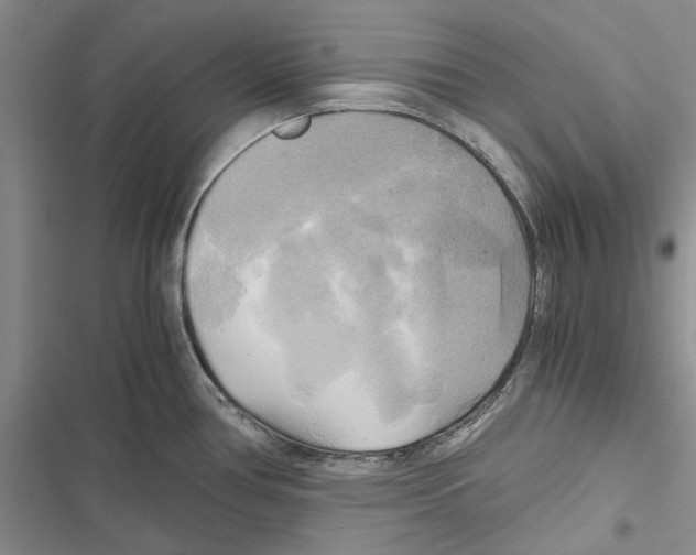X0000116801386201001151113