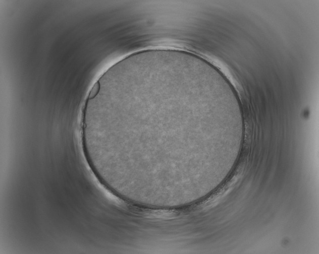 X0000116801387201001151113