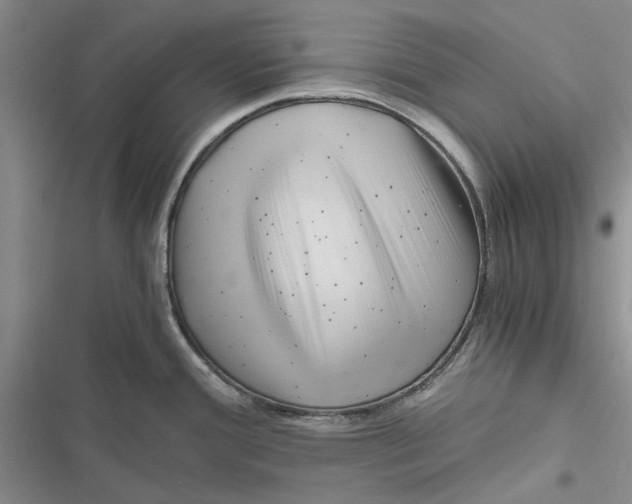 X0000116801388201001151113